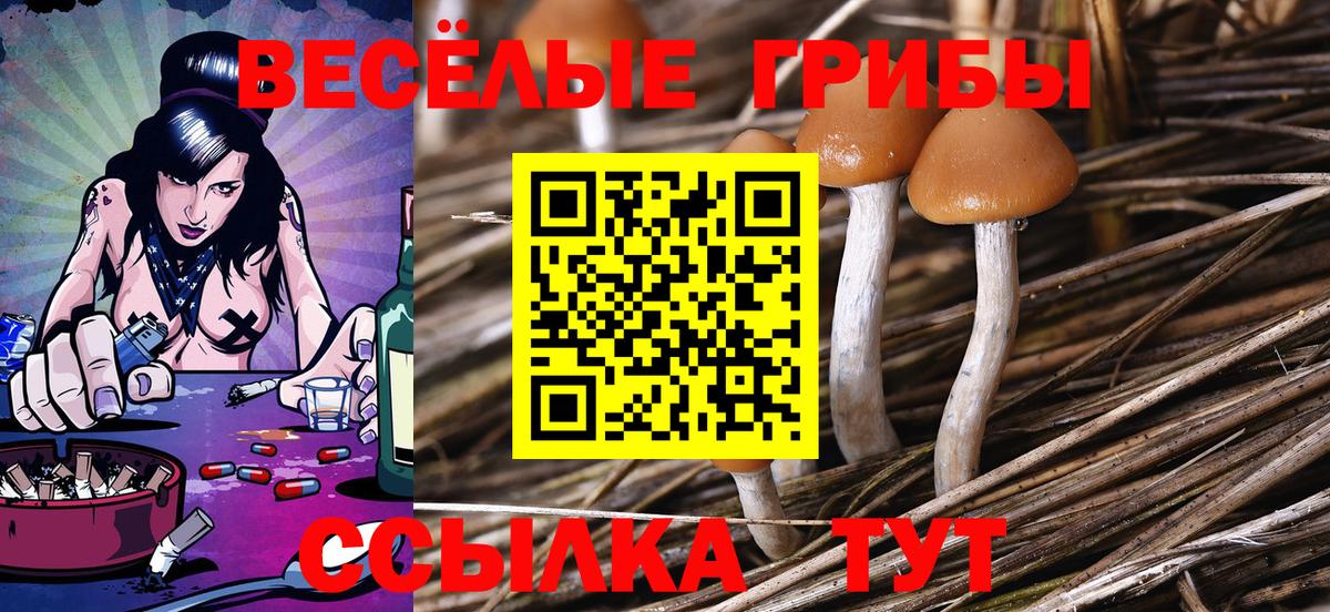 Галлюциногенные грибы Magic Shrooms Бахчисарай