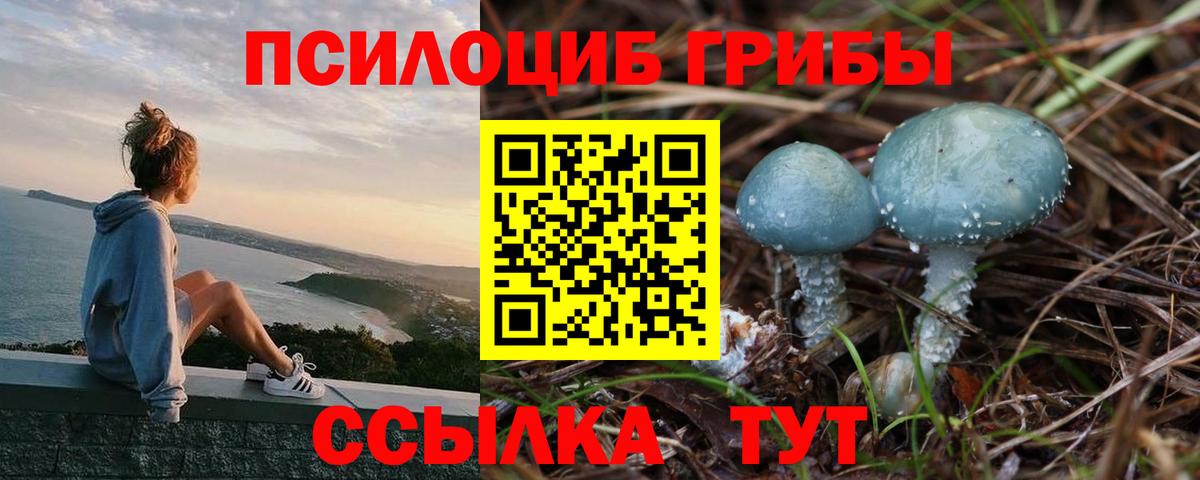 Галлюциногенные грибы GOLDEN TEACHER  Вход с VPN  Бахчисарай  Галлюциногенные грибы ЛСД 